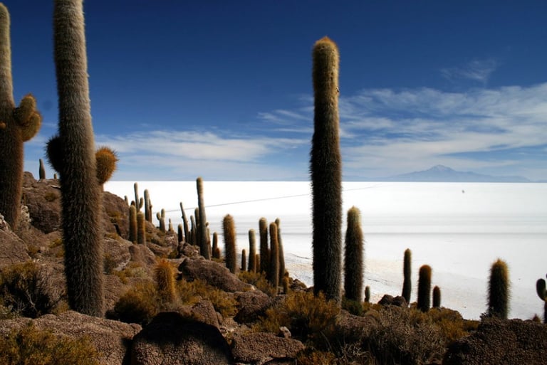 Salar de Uyuni in Dry Season