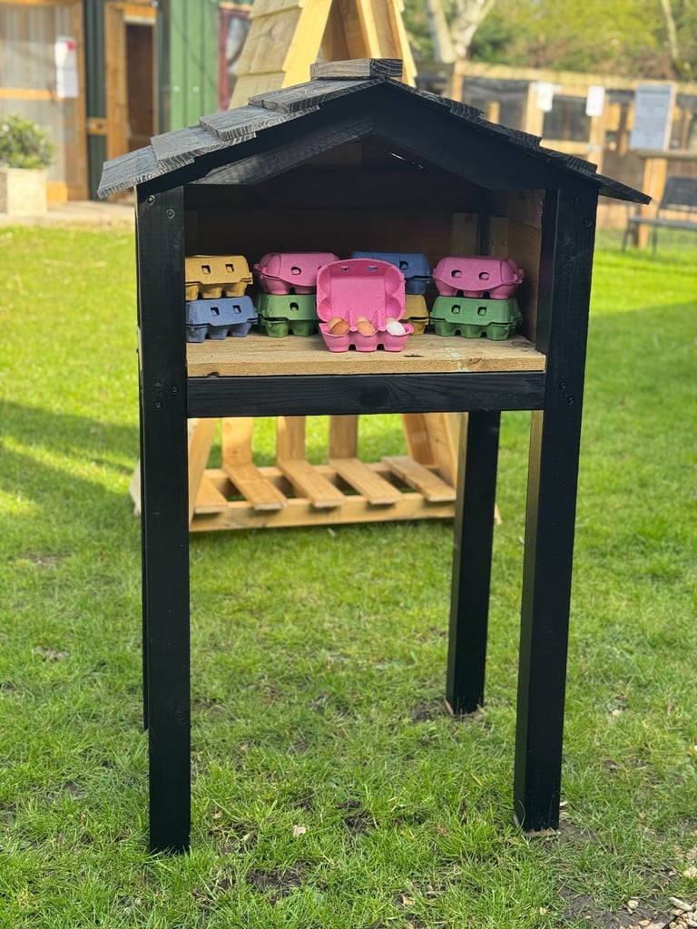 Fresh farm eggs in colorful cartons displayed in a black wooden honesty box on a green lawn.