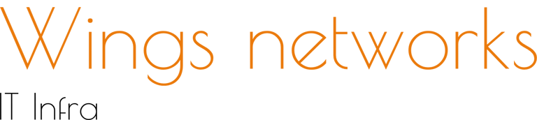 wingsnetworks logo