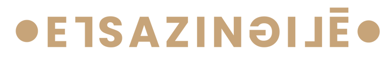 Elsa Zingilé  logo
