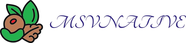 MSVNATIVE FOODS logo