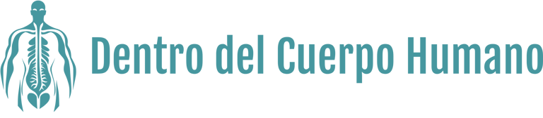 DENTRO DEL CUERPO HUMANO logo