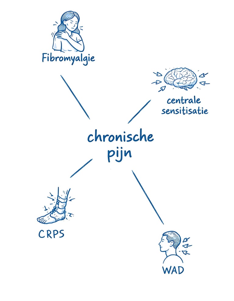 chronische pijn relatie met fibromyalgie, centrale sensitisatie en CRPS met blauwe marker