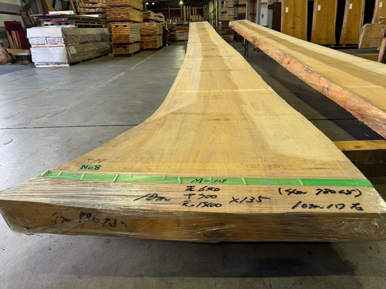 A long, natural edge raw hinoki slab for custom furniture inside a premium lumber warehouse.