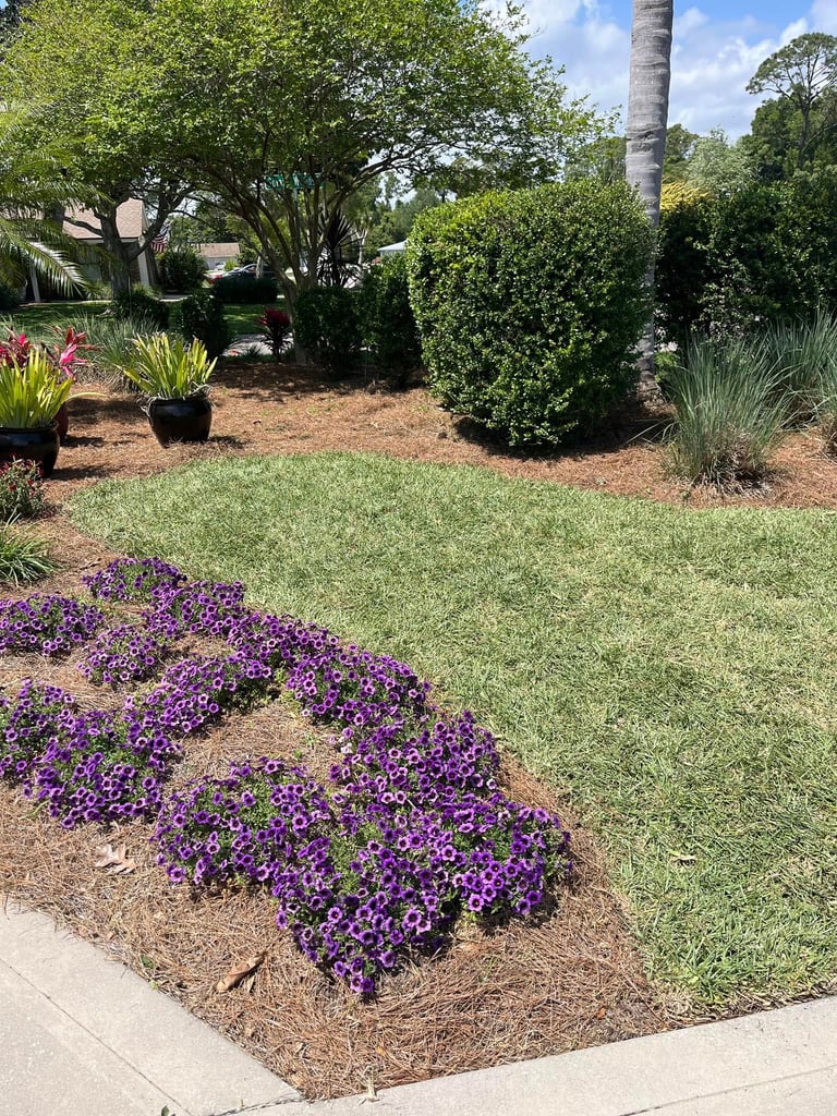 after landscaping Palm Valley Fl