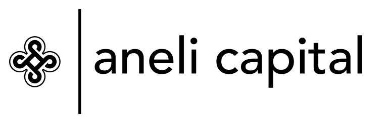 Aneli Capital logo