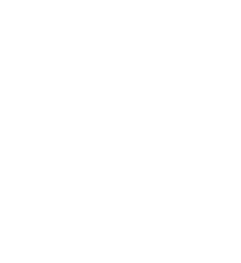 Zikaléon logo