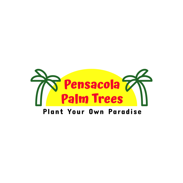 Pansacola palm trees logo