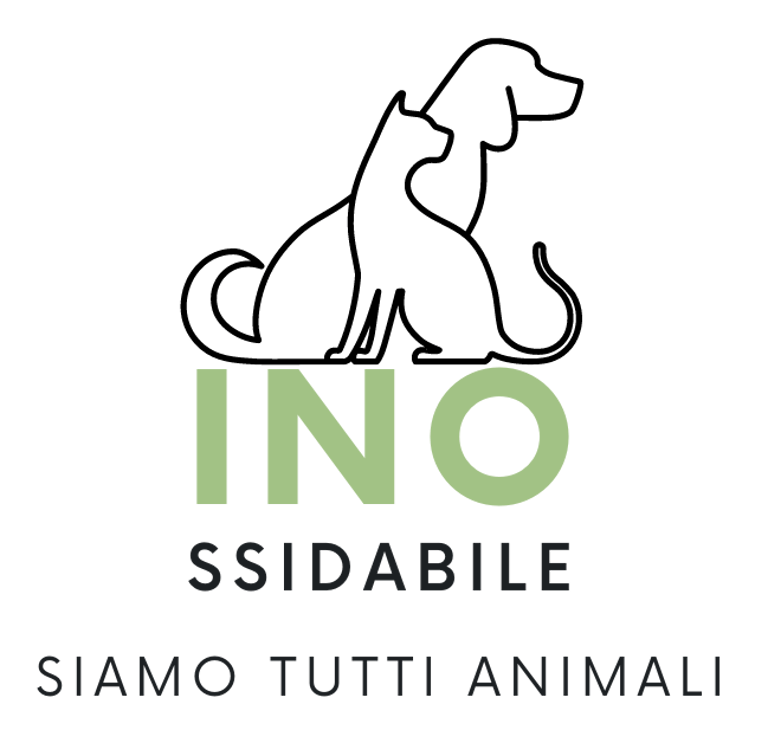 Associazione INO logo