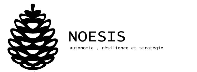 NOESIS logo