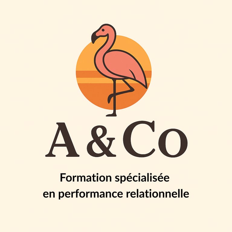 A & Co logo