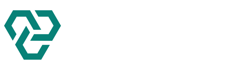 Deep Solutions logo