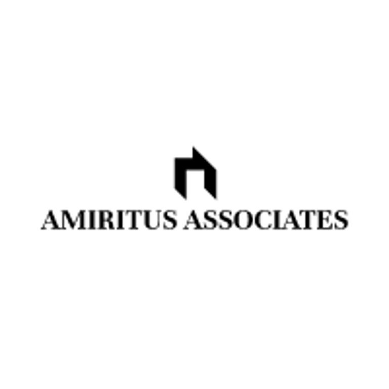AMIRITUS ASSOCIATES LLC logo