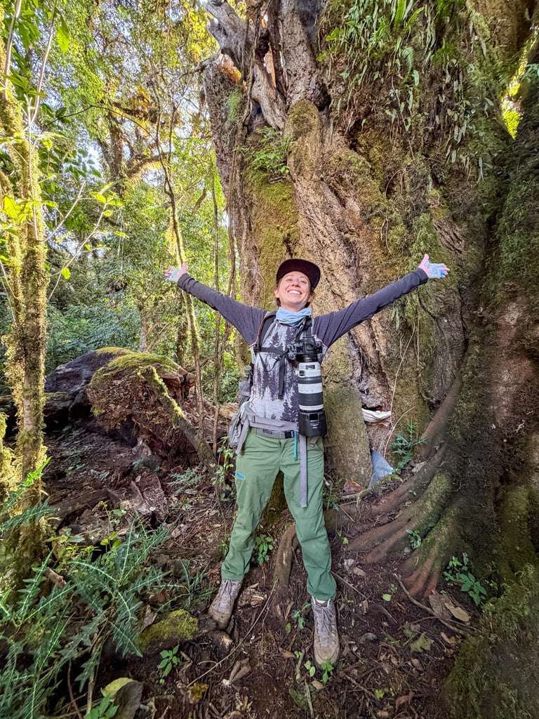 Elizabeth Hingle standing beneath a rainforest tree with arms outstretched.