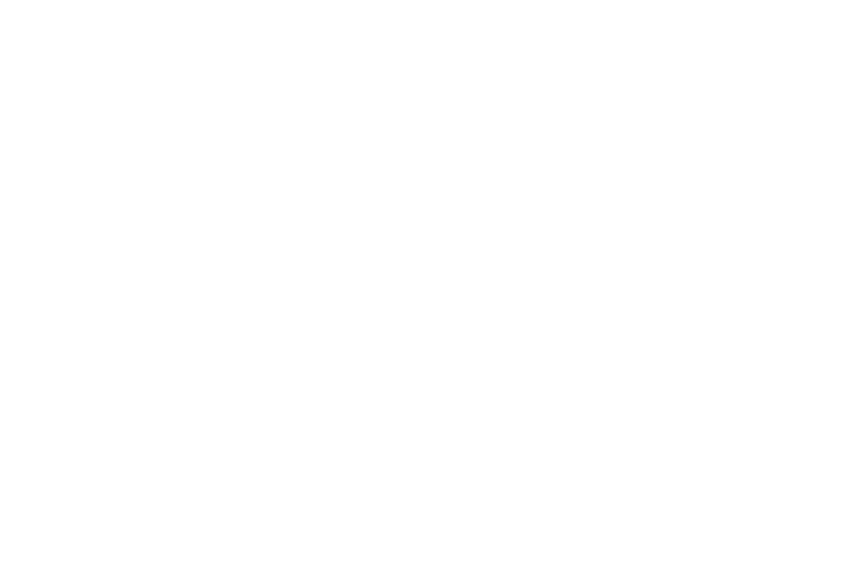 Elite Purser logo