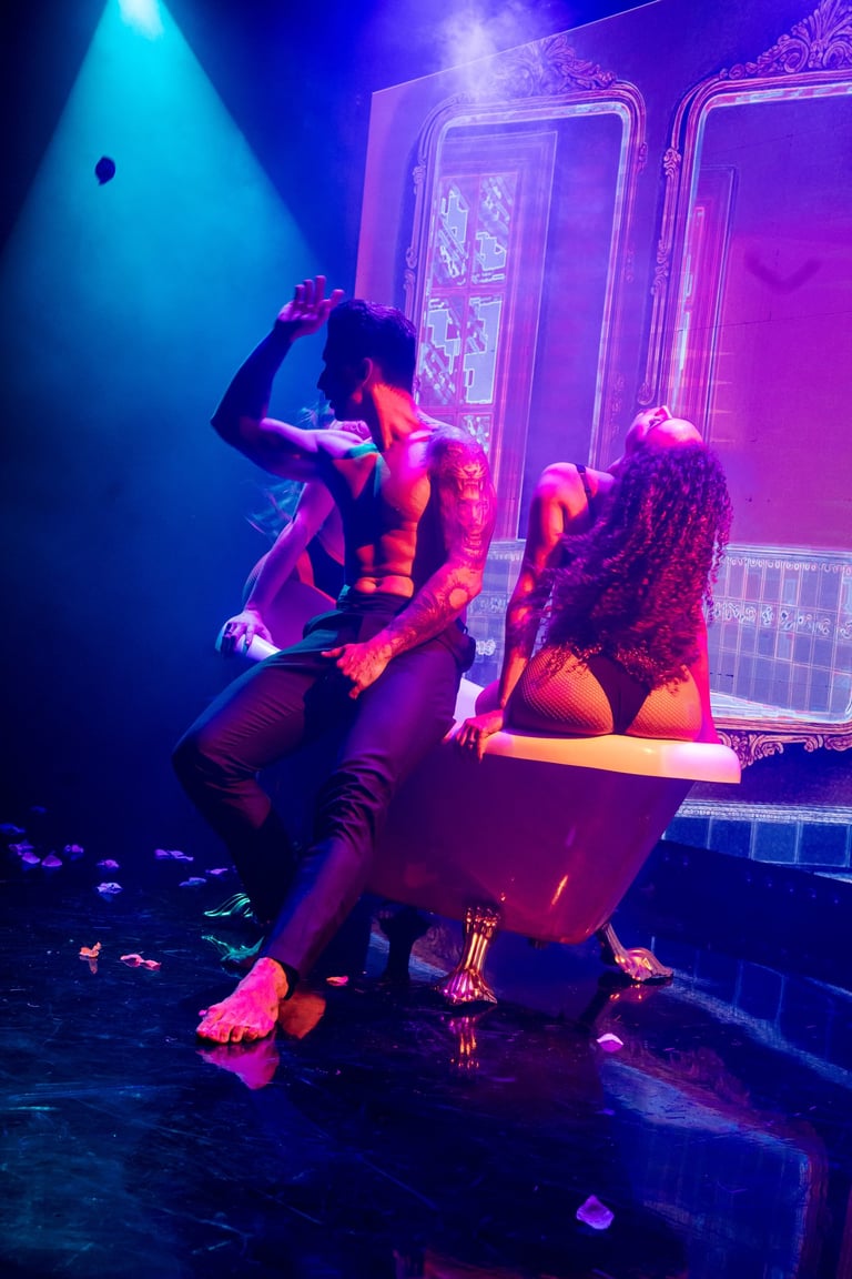 Passion Dancer, Hosting Dinner Show, Scandal Dubai Hilton | NBmore