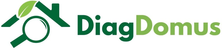 DiagDomus logo