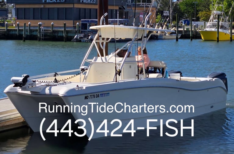 Running Tide Charters logo