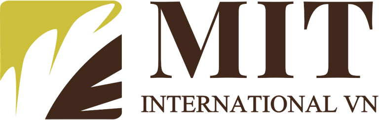 MIT INTERNATIONAL VN COMPANY LIMITED logo