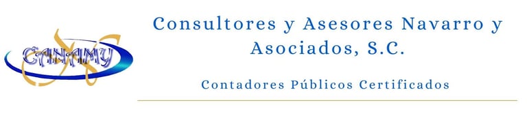 Consultores y Asesores Navarro y Asociados, S.C logo