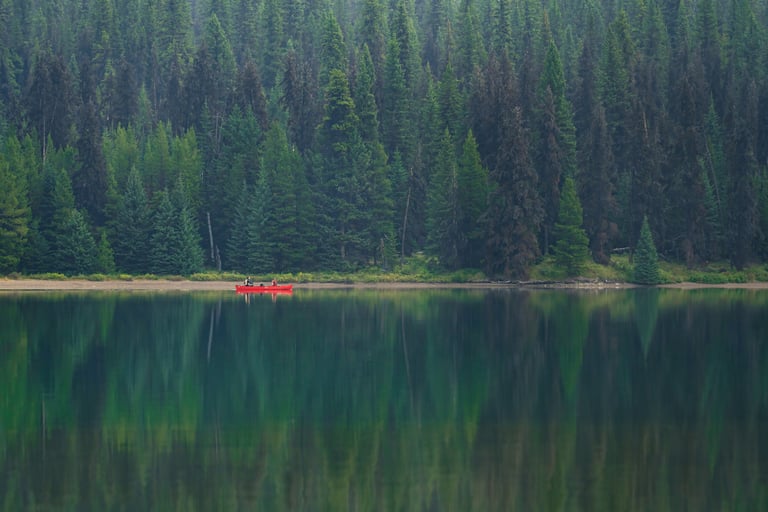 lac et sapins au canada