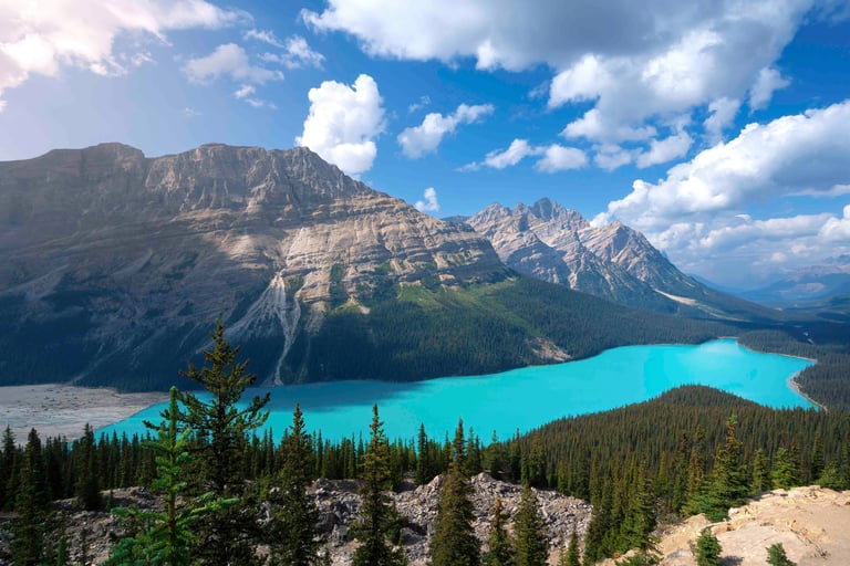lac peyto au canada