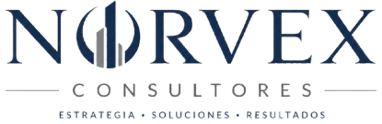 NorvexConsultores logo