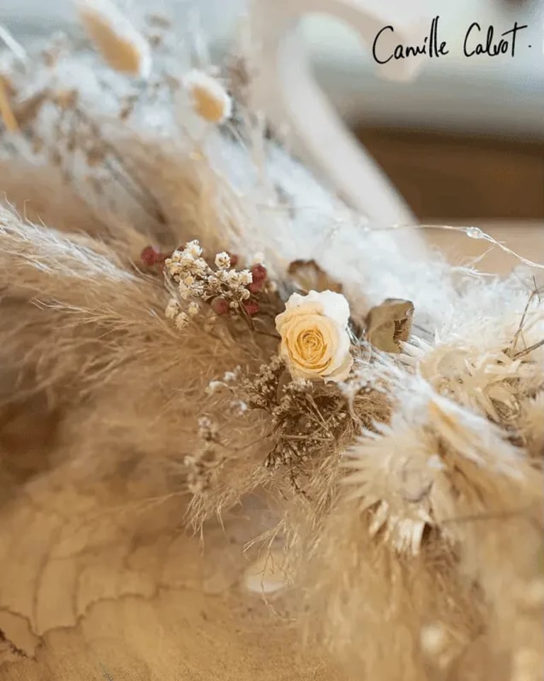 Photographie d une rose par la photographe CAMILLE CALVOT
