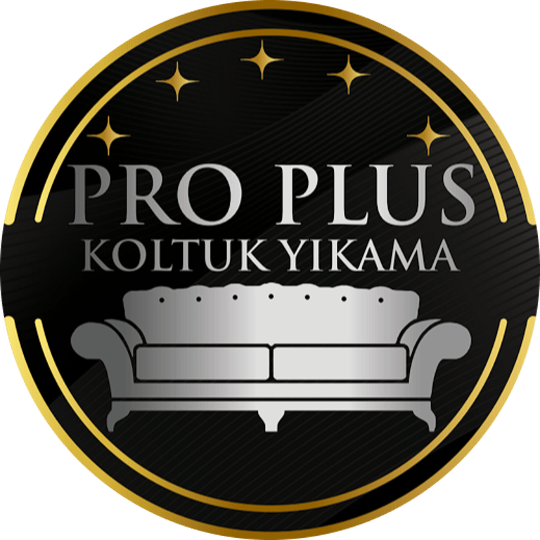 Pro Plus Koltuk Yıkama logo