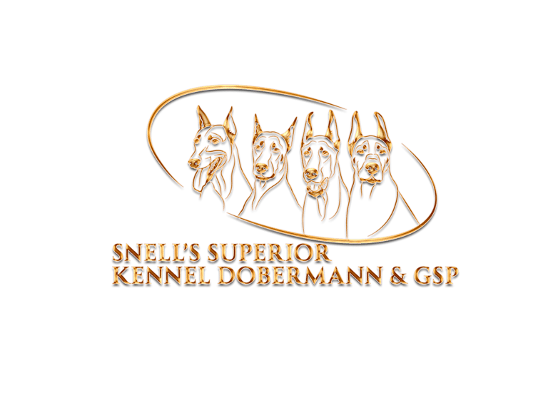 Snell`s Superior Kennel Dobermanns & GSPs logo