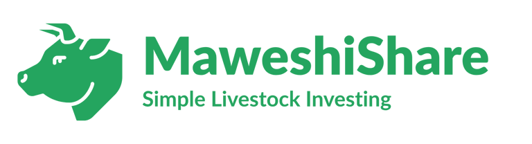Maweshishare logo