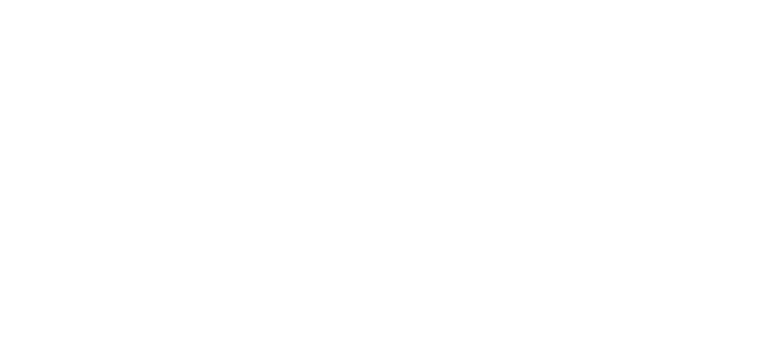 Paulina Bocian Fotografia logo