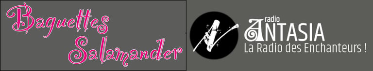 Boutique Baguettes Salamander logo