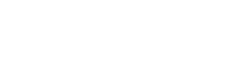 WS Group S.R.L logo