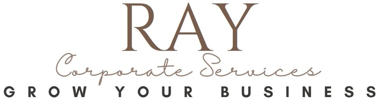 RAY SOLUTIONS logo