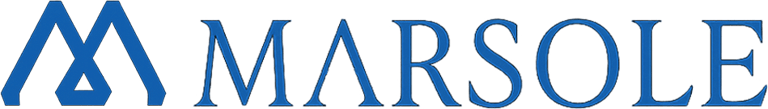 Marsole Holdings logo