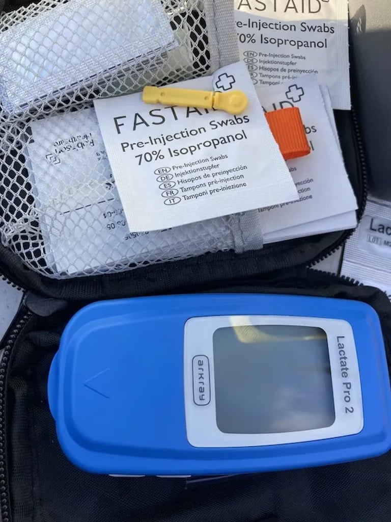 Lactate testing meter