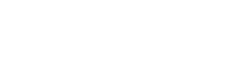 DELITAS logo