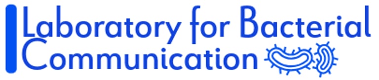 Quorum sensing, bacterial communication, antimicrobial resistance logo