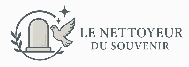 Le nettoyeur du souvenir logo