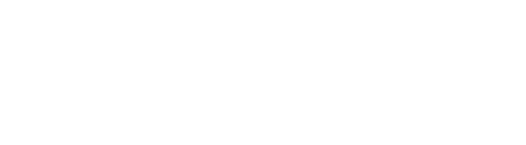 Lotfi Belaidi logo