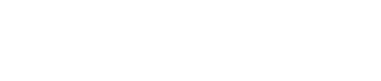 NG Consulting Partners logo