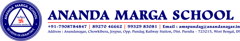 Ananda Marga School logo