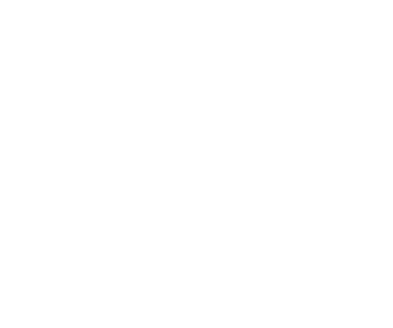 Chicho Longevity Training logo