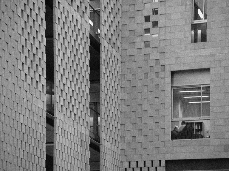 Olayan School of Business American University Beirut Academic by Machado Silvetti 1