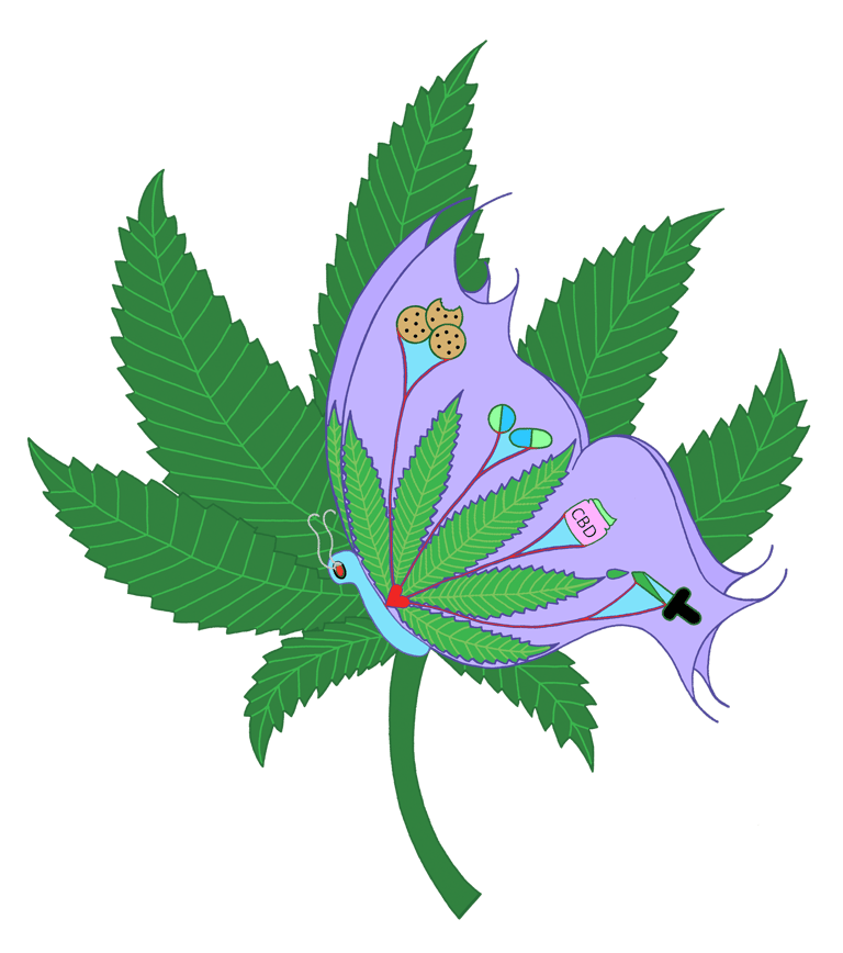 https://www.cannabisbutterfly.com logo