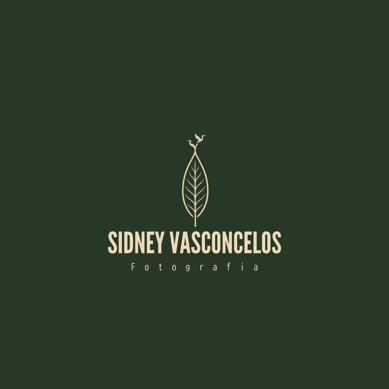Sidney Vasconcelos Fotógrafo logo