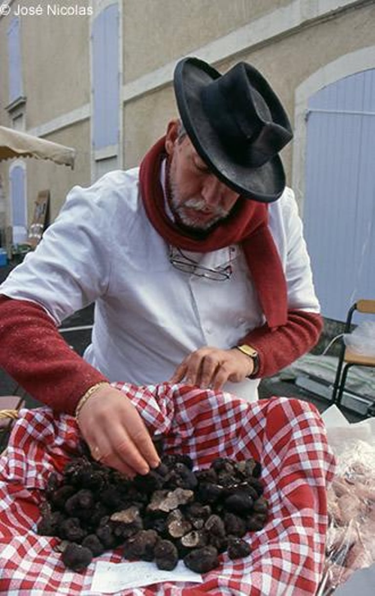 Famous Tricastin black truffles from Drôme, harvested near Saint-Paul-Trois-Châteaux