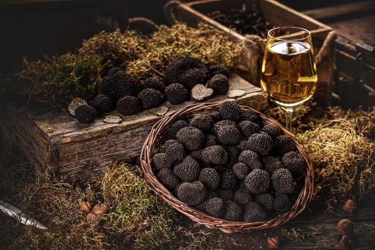 Black truffles from Tricastin, a prized local product of Provence know for rich flavors and tradition