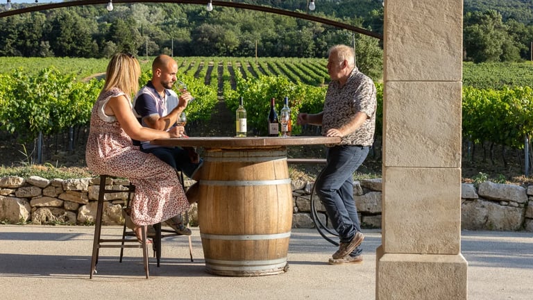 Sunlit Provencal vineyards in the Drôme, overlooking the rolling hills of the Rhône Valley
